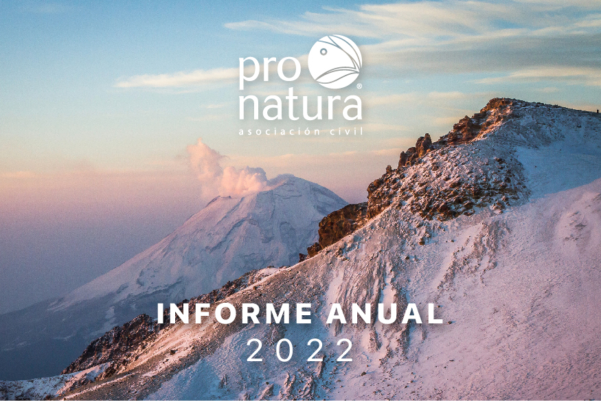 informe anual 2020