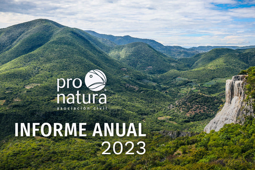 informe anual 2023