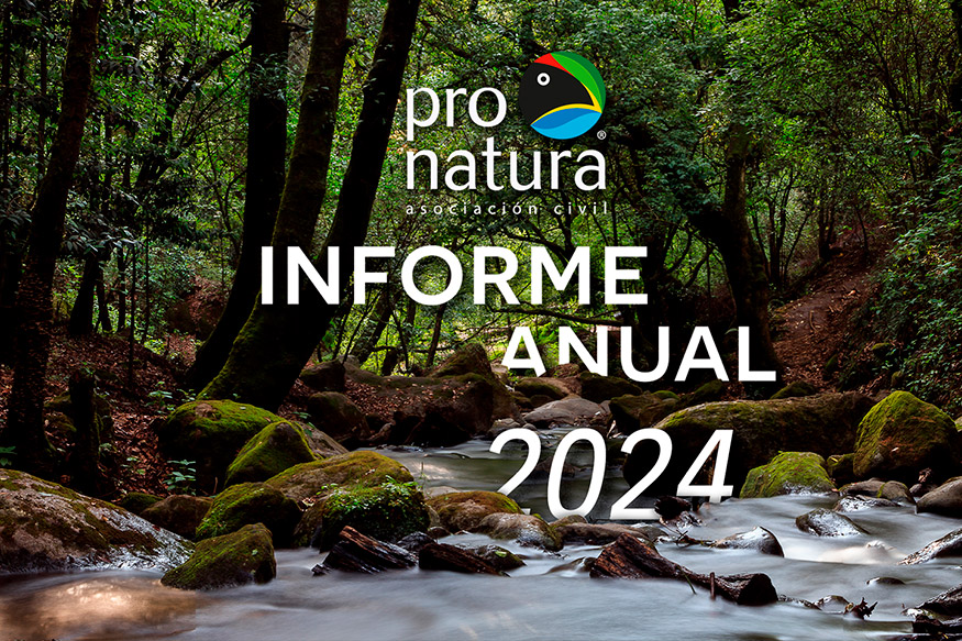 informe anual 2024